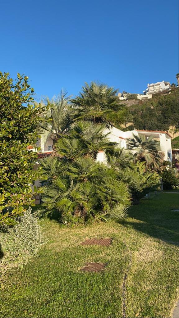 Casa Margherita Ischia Forio di Ischia Zewnętrze zdjęcie